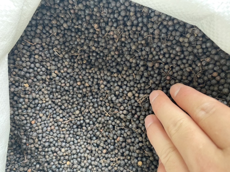 木姜子(荜澄茄)