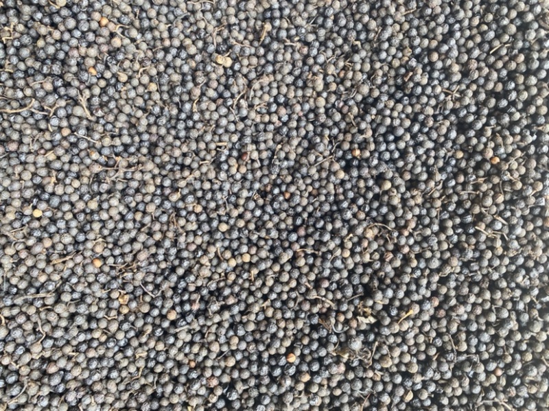 木姜子(荜澄茄)