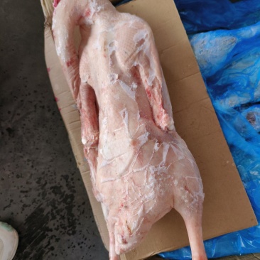 冻品鹅