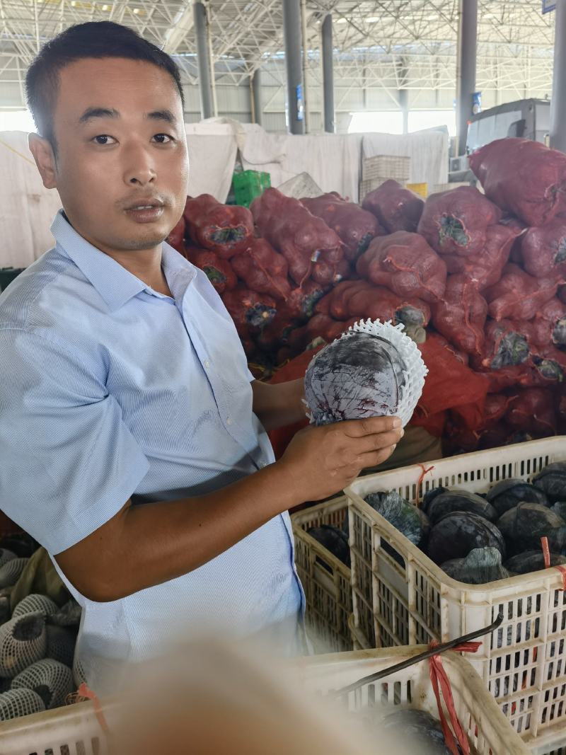 精品紫甘蓝露天种植大量有货适合各大市场电商加工厂