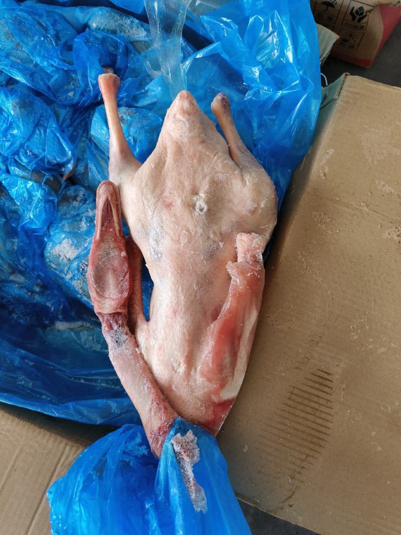 冻品鹅