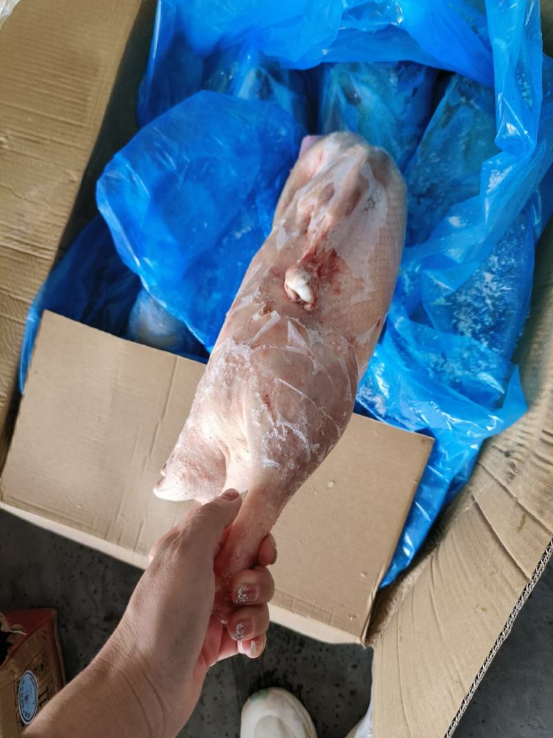 冻品鹅