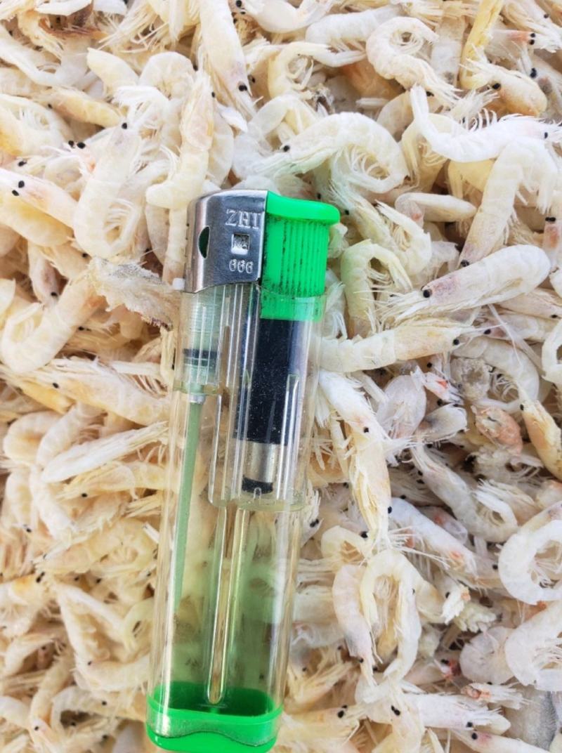 现有价格亲民，油炸膨化虾皮（麦杆虾）勾子虾颜色漂亮