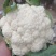 【精选】精品菜花产地直供代办电商供应量大优惠全国发货