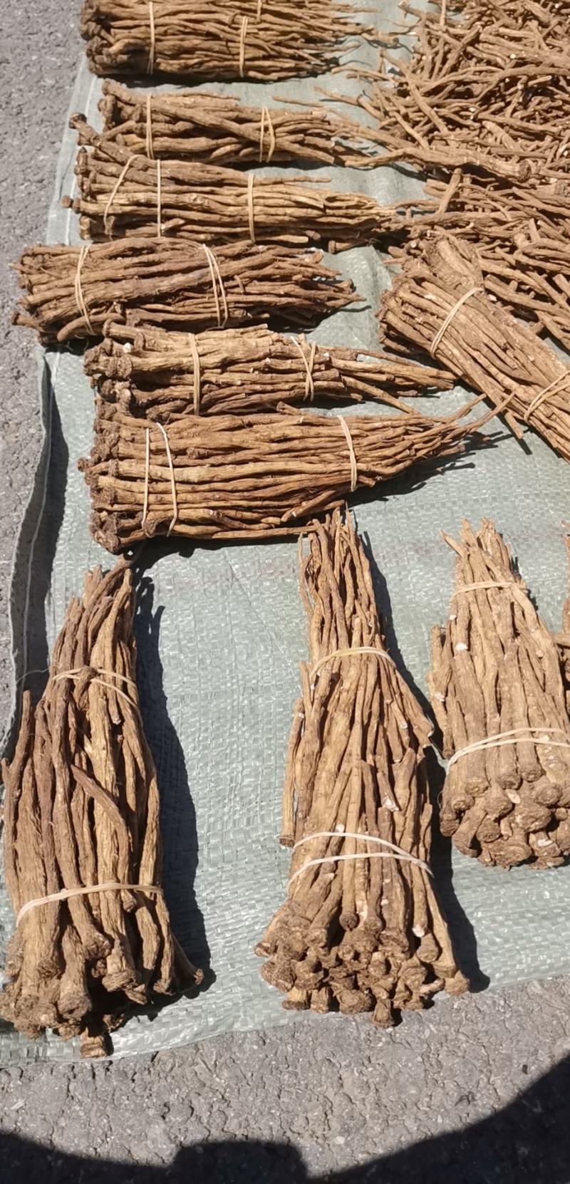 【精品】吉林长白山蒲公英根茶保质保量欢迎选购