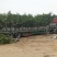 丛生独杆石榴树，基地大量供应，质量保证，