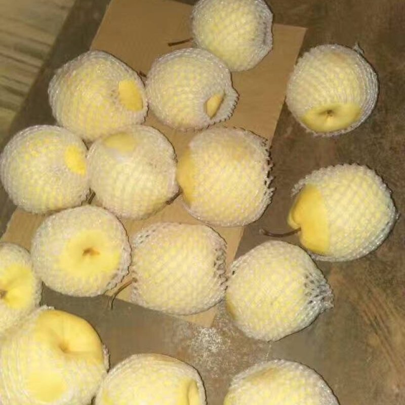 运城贡梨，脆甜多汁，皮薄无渣，大量上市，最近降价了！
