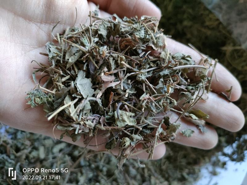 （热销）蛇莓全草类中药材祥泰药材栈地道药材欢迎选购