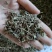 （热销）蛇莓全草类中药材祥泰药材栈地道药材欢迎选购