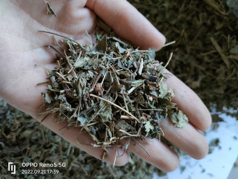 （热销）蛇莓全草类中药材祥泰药材栈地道药材欢迎选购