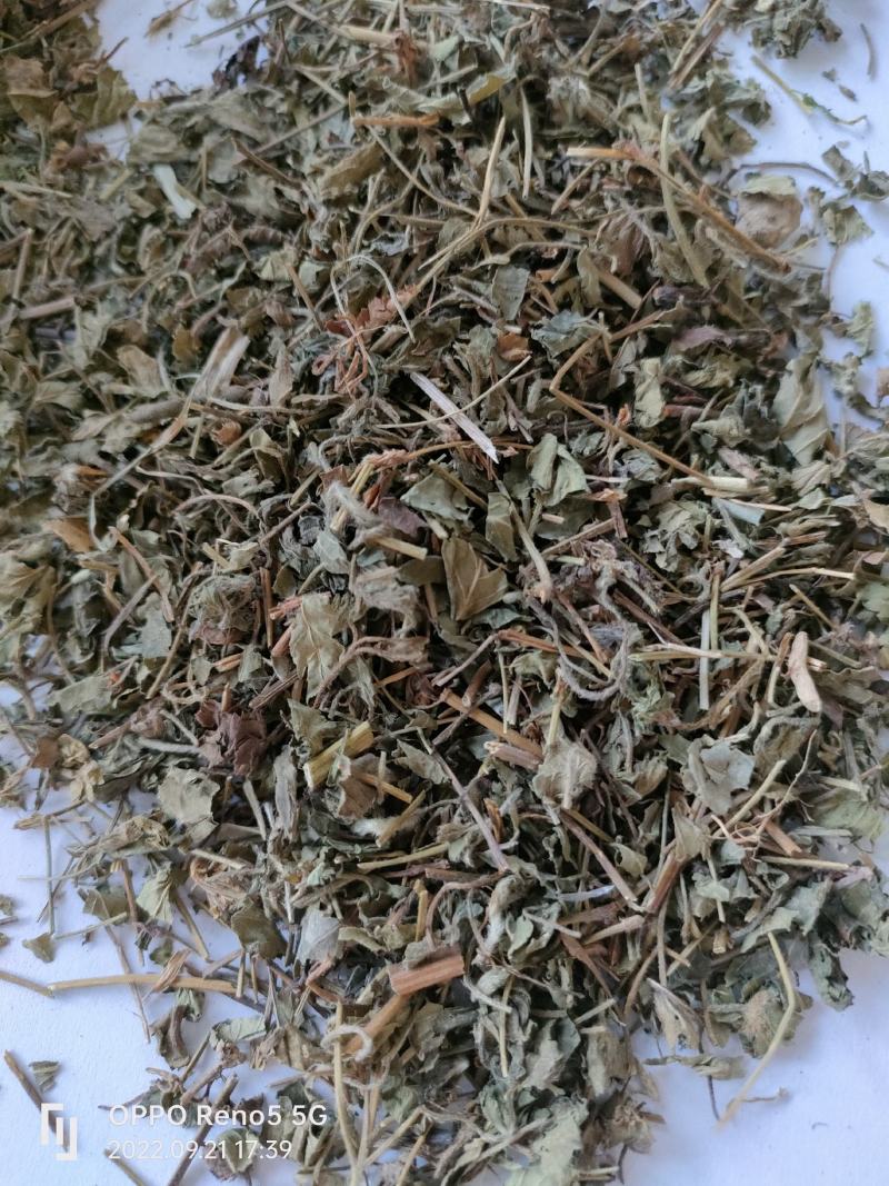 （热销）蛇莓全草类中药材祥泰药材栈地道药材欢迎选购