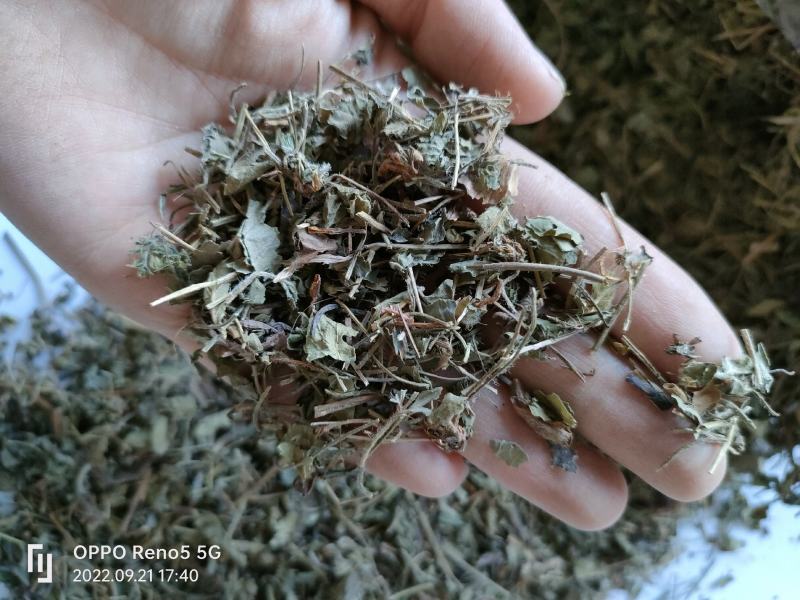 （热销）蛇莓全草类中药材祥泰药材栈地道药材欢迎选购