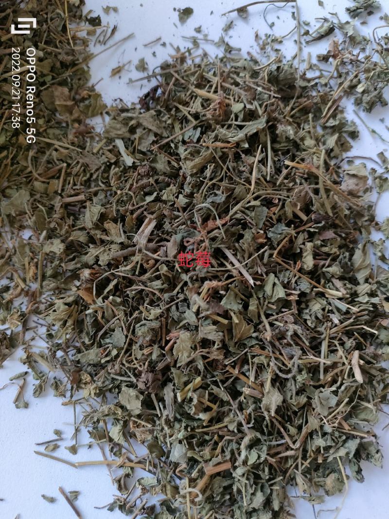 （热销）蛇莓全草类中药材祥泰药材栈地道药材欢迎选购