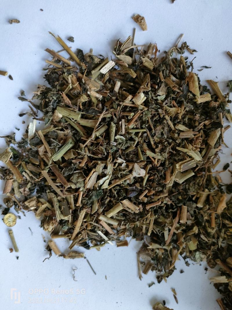 （热销）龙葵全草类中药材批发零售量多从优严于品质祥泰药