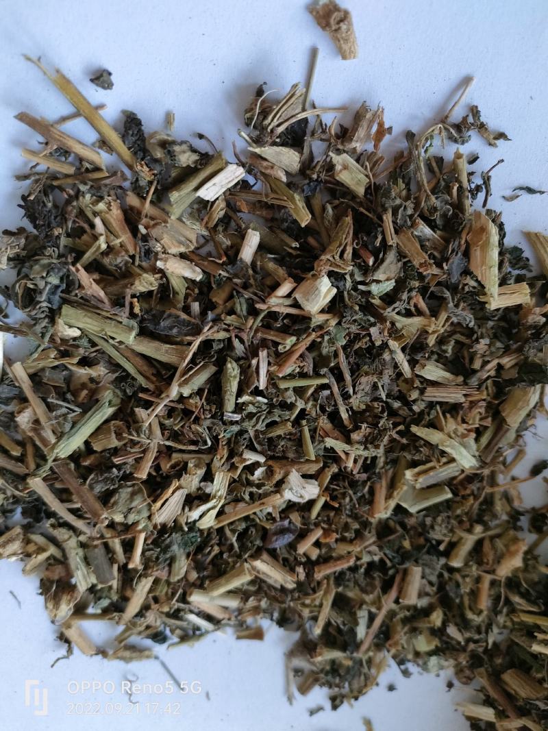 （热销）龙葵全草类中药材批发零售量多从优严于品质祥泰药