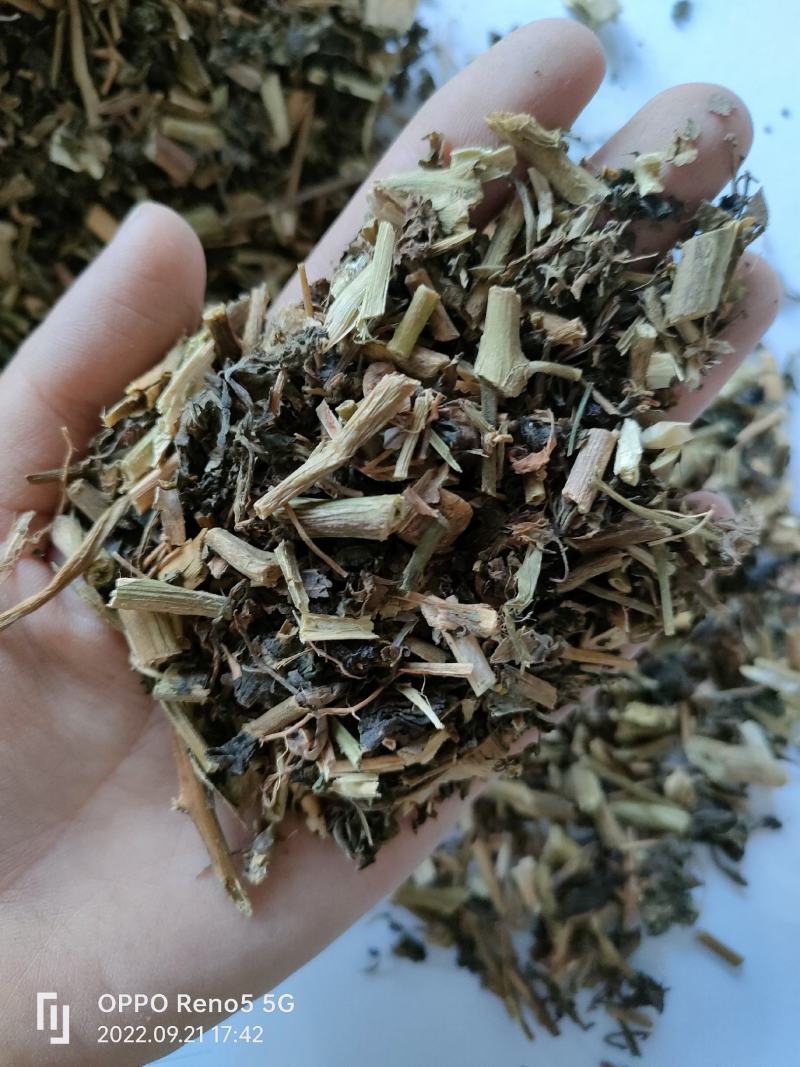 （热销）龙葵全草类中药材批发零售量多从优严于品质祥泰药