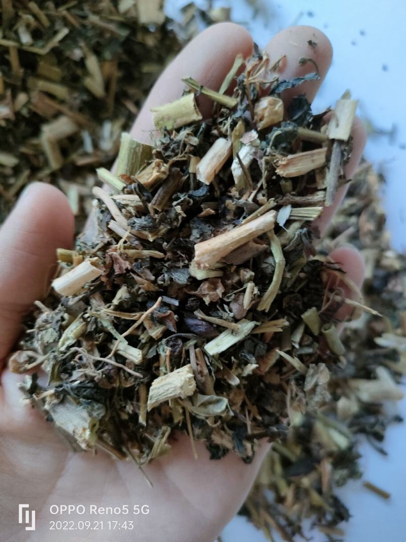 （热销）龙葵全草类中药材批发零售量多从优严于品质祥泰药