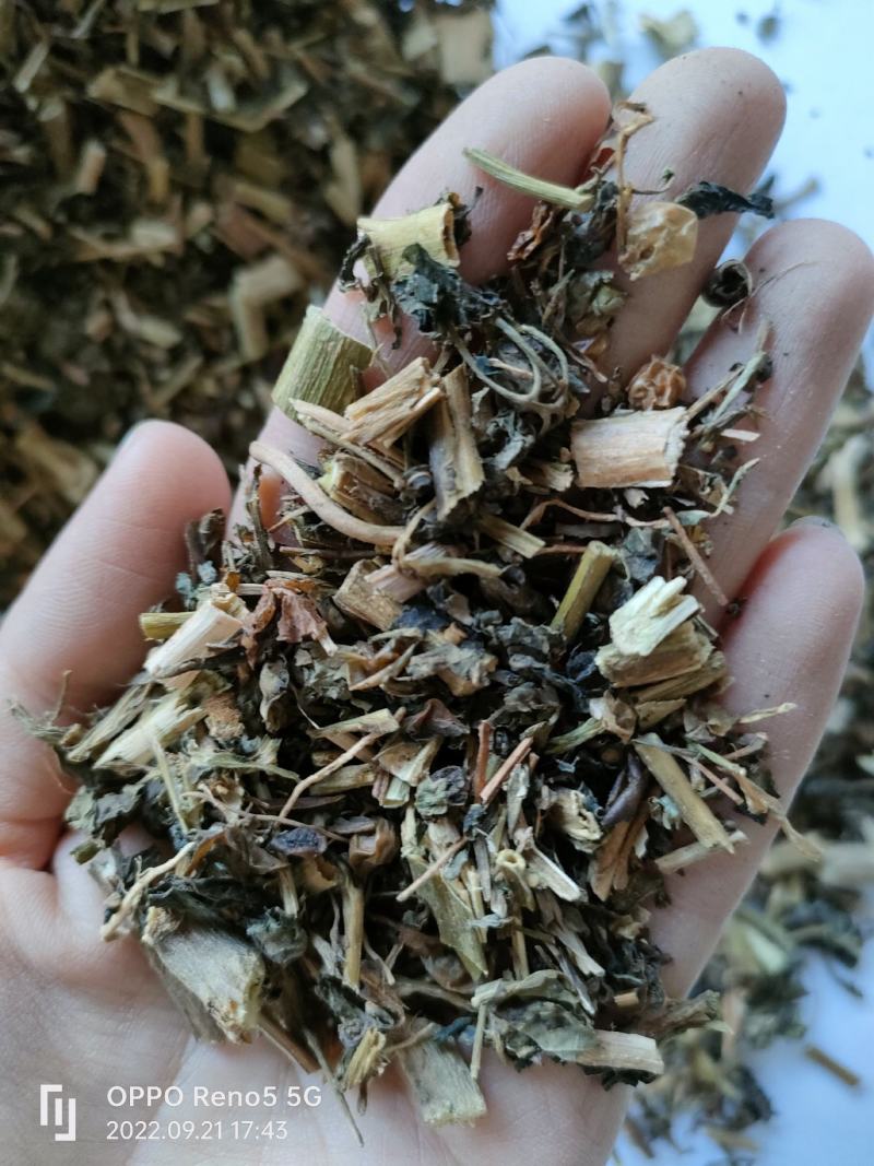 （热销）龙葵全草类中药材批发零售量多从优严于品质祥泰药