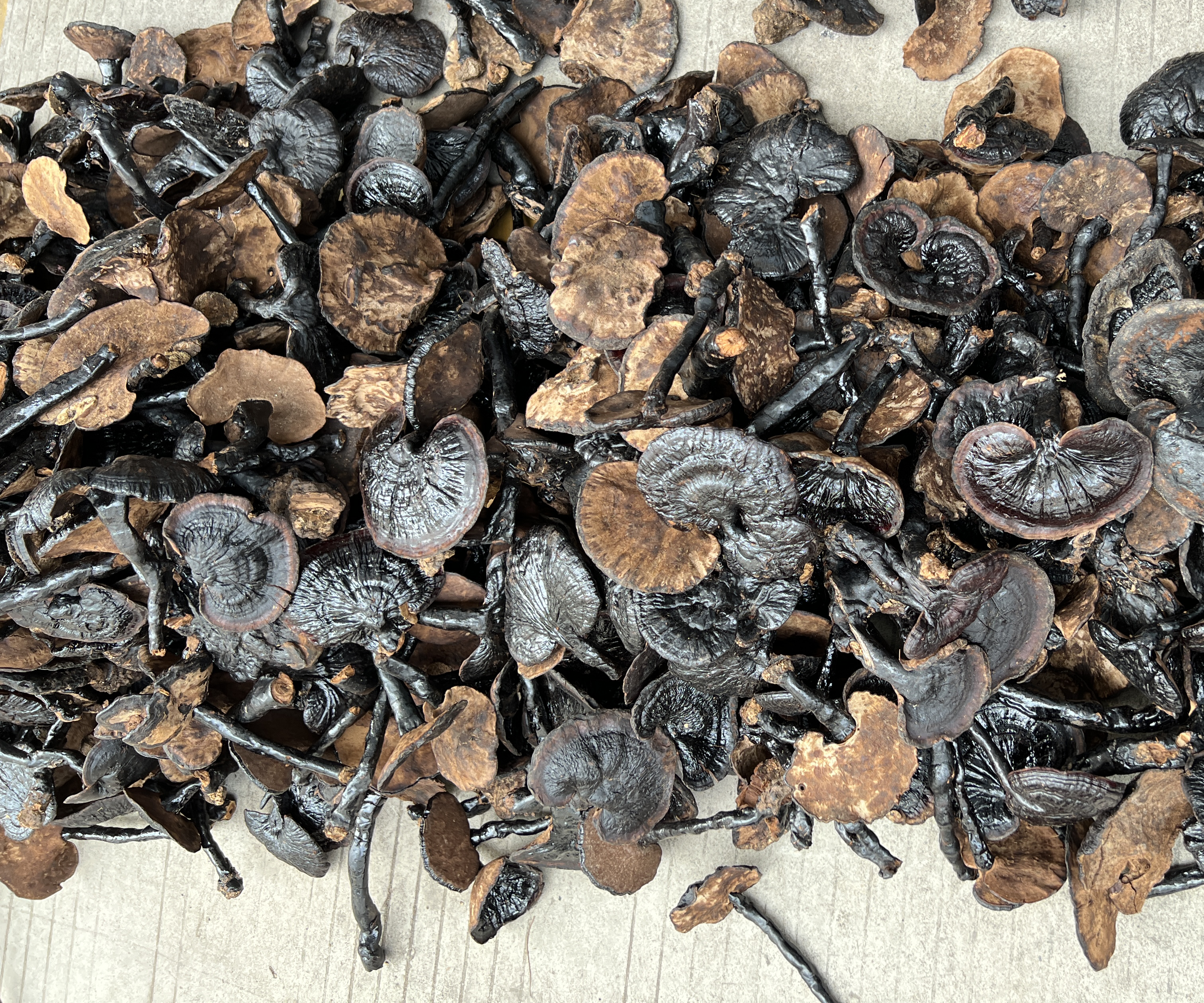 灵芝活性成分HPLC检测图谱