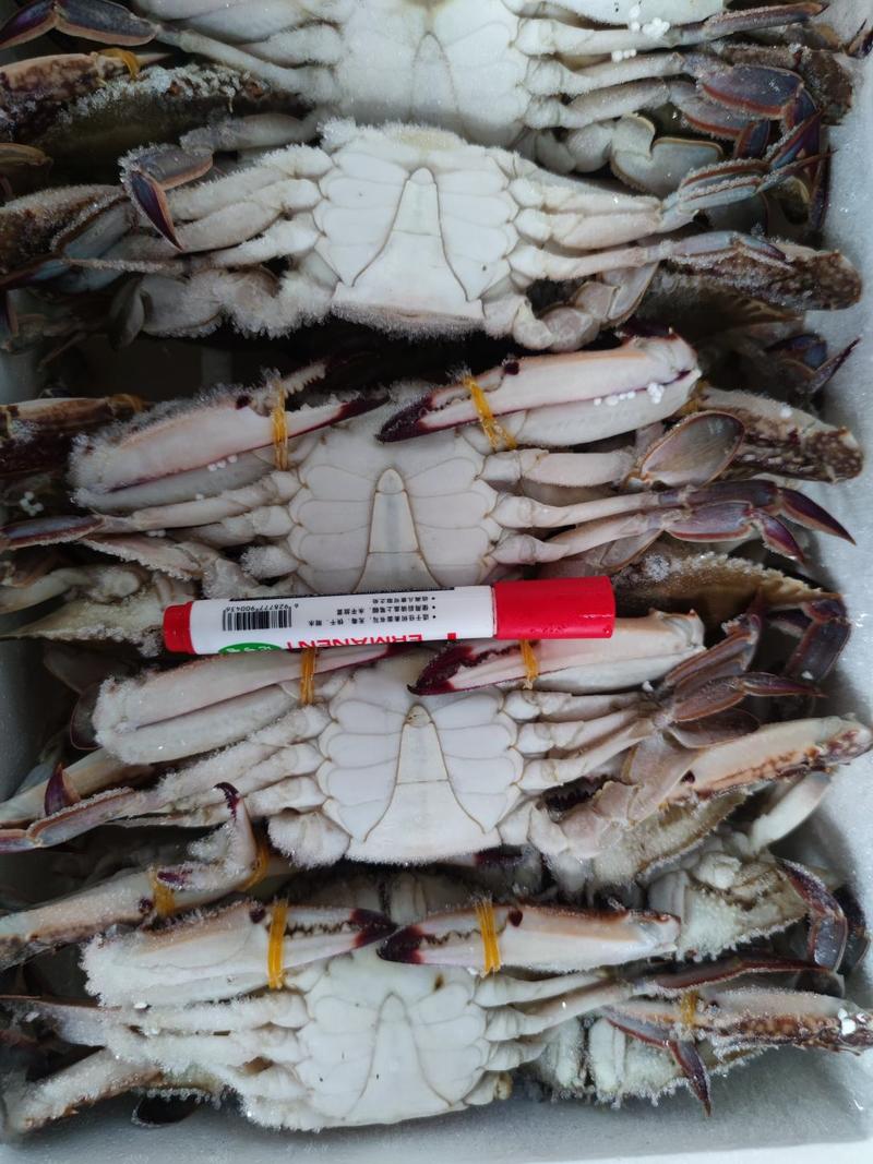 精品梭子蟹远海梭子蟹（6斤）净重一箱