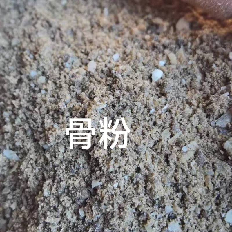 饲料级骨粉脱胶骨粉牛羊牲畜养殖补充蛋白量大价优