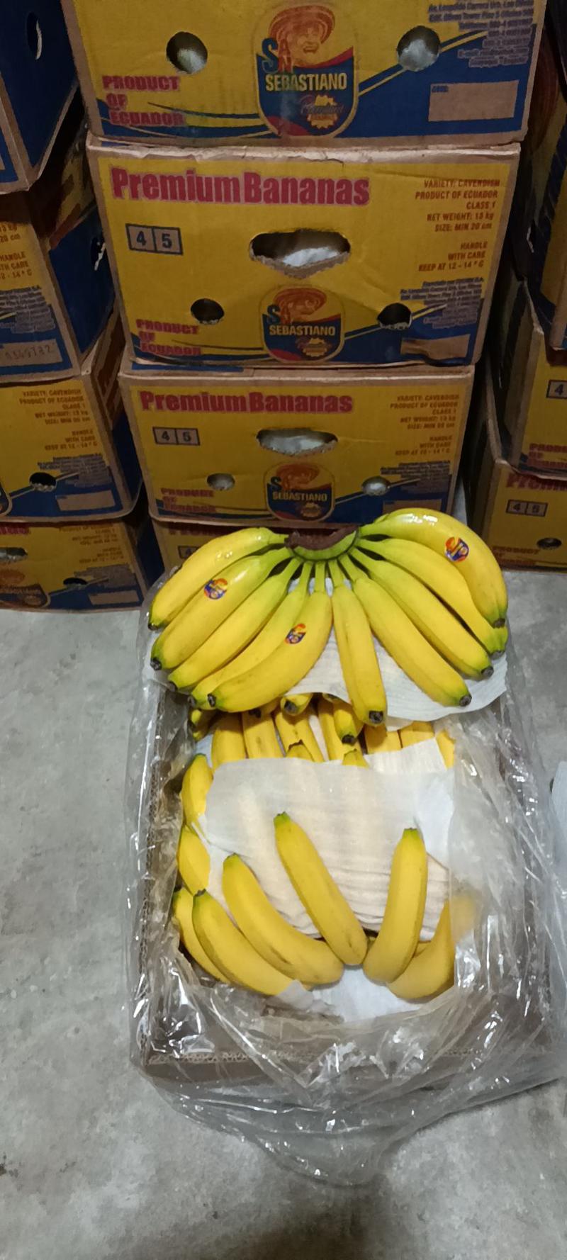 瓦房店市香蕉