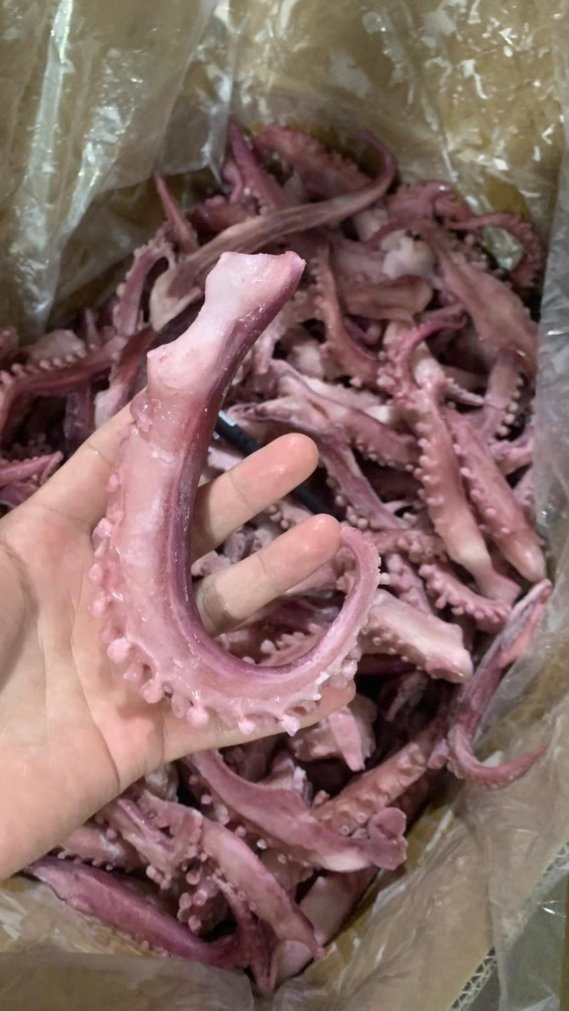 脆口须