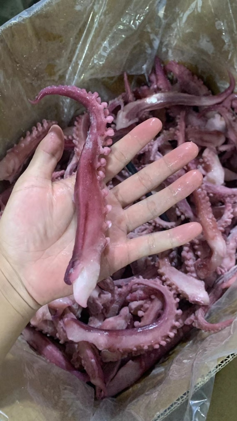 脆口须