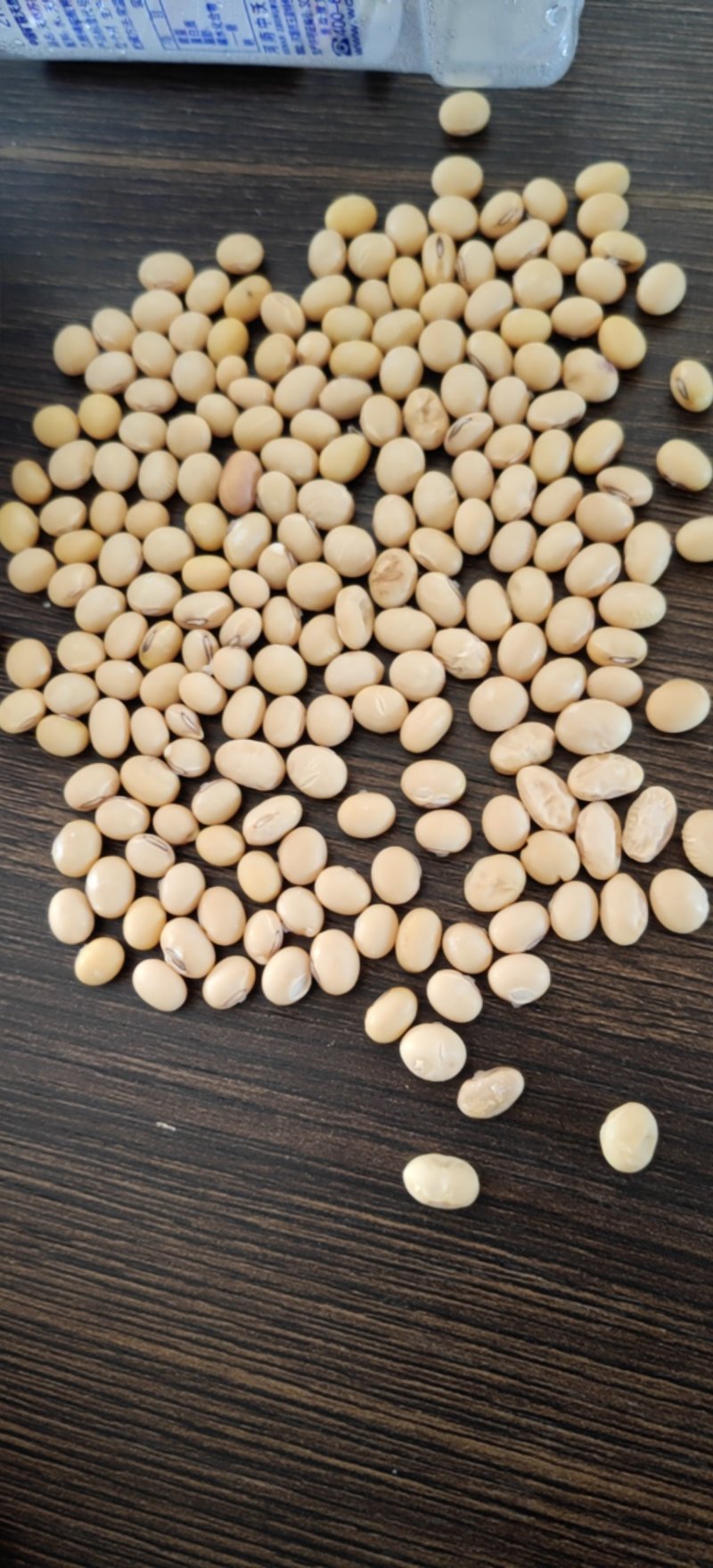 优质黄黄豆腐豆出浆高自营农场种植价格可谈