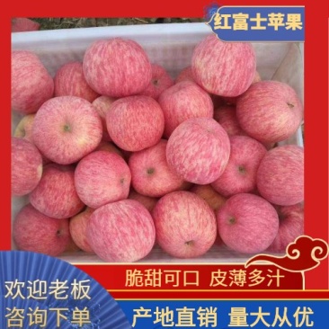 临猗坡上纸加膜冰糖心红富士苹果