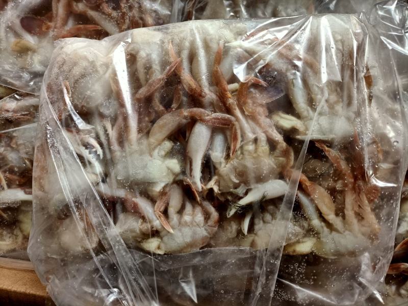 切蟹质量好价格不贵最新日期