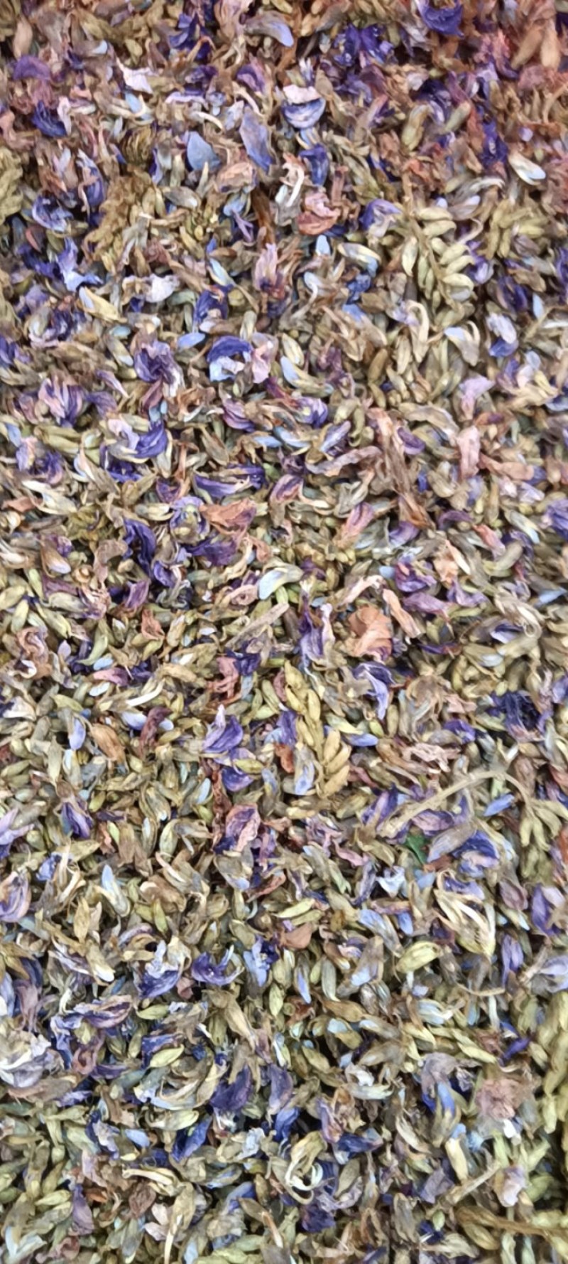 野生葛花有着千杯不醉的名字可以泡茶名字解酒茶2025新货