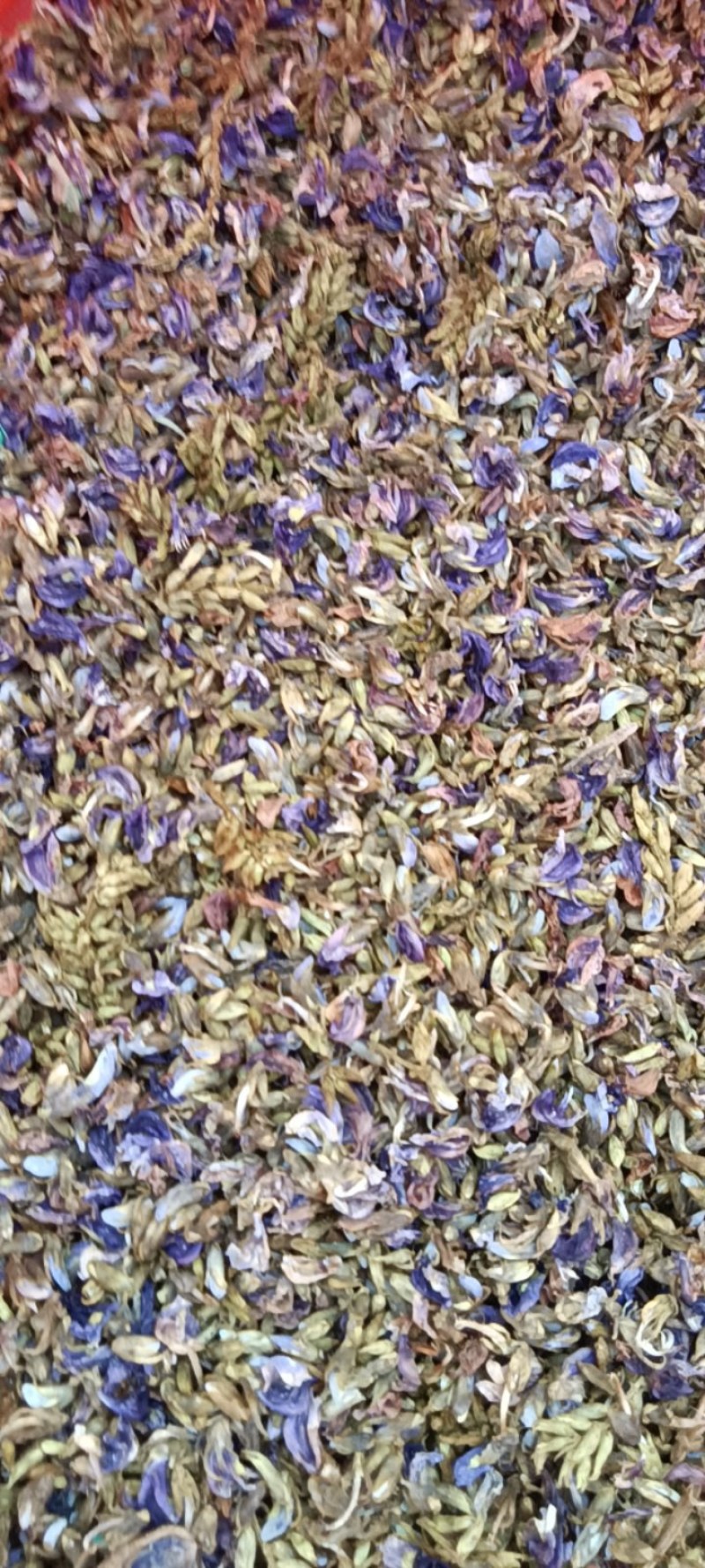 野生葛花有着千杯不醉的名字可以泡茶名字解酒茶2025新货