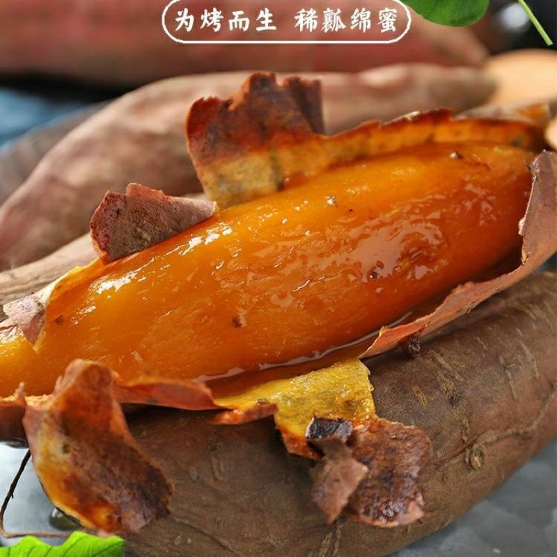 沙地烟薯25号蜜薯山东烤地瓜用红薯烟台农科院烟蜜薯21度