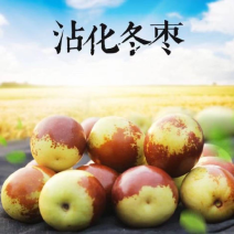沾化冬枣本地供应链电商一件代发