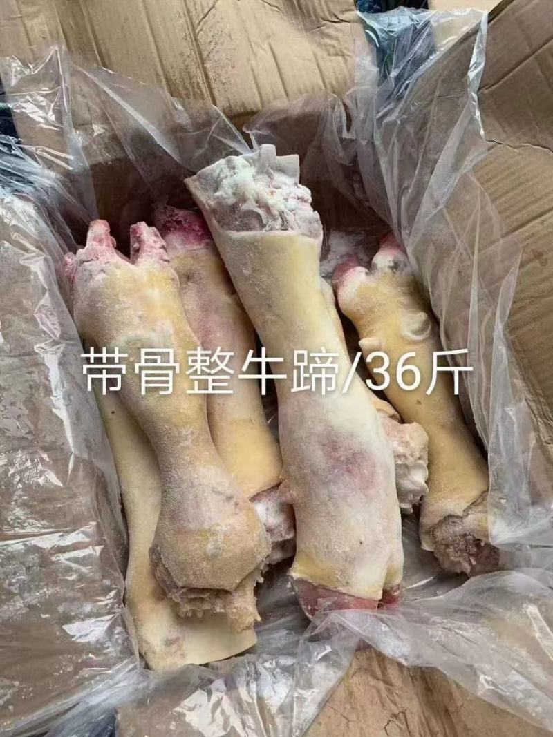 带骨牛蹄批发新鲜冷冻牛蹄子牛蹄脚红烧清炖