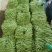 【推荐】白条豆角产地直发货源充足对接商超市场视频看货