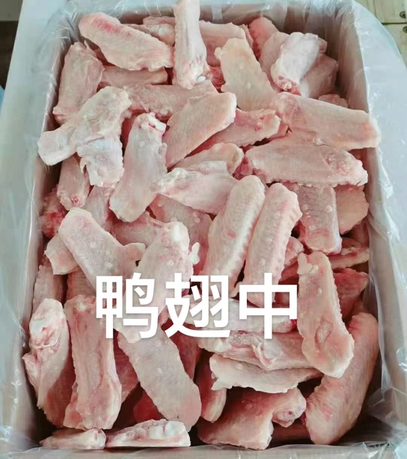 鸡副鸭副禽类产品种类多样给规格齐全价格实惠现货出
