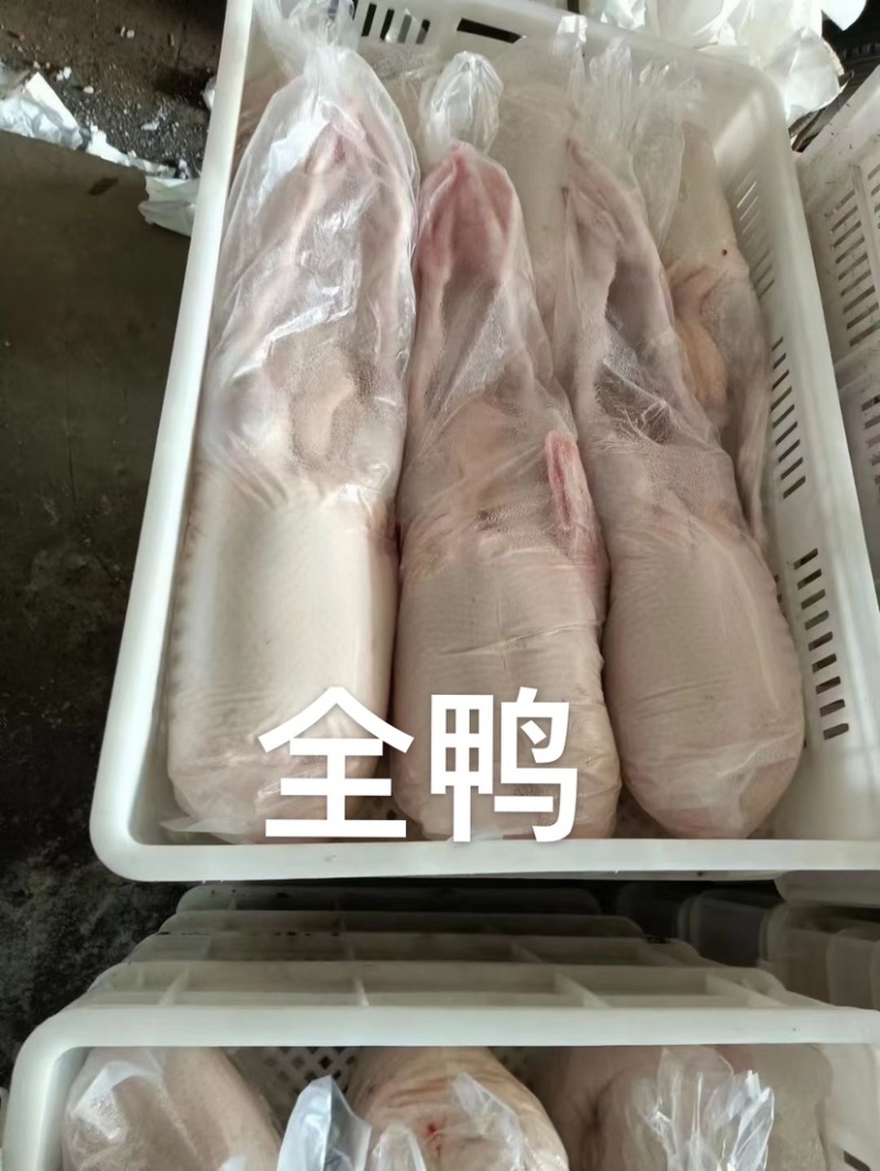 鸡副鸭副禽类产品种类多样给规格齐全价格实惠现货出