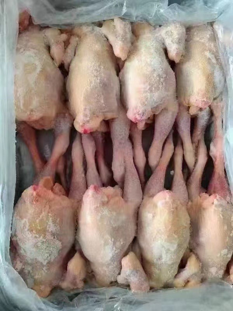 鸡副鸭副禽类产品种类多样给规格齐全价格实惠现货出