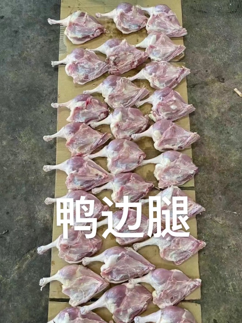 鸡副鸭副禽类产品种类多样给规格齐全价格实惠现货出