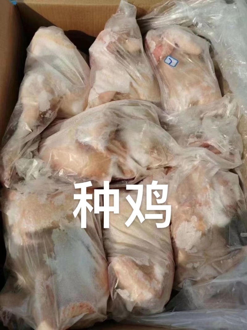 鸡副鸭副禽类产品种类多样给规格齐全价格实惠现货出