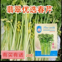 翡翠黄空心芹菜种子黄心芹菜种籽小香芹黄嫩西芹春秋蔬菜