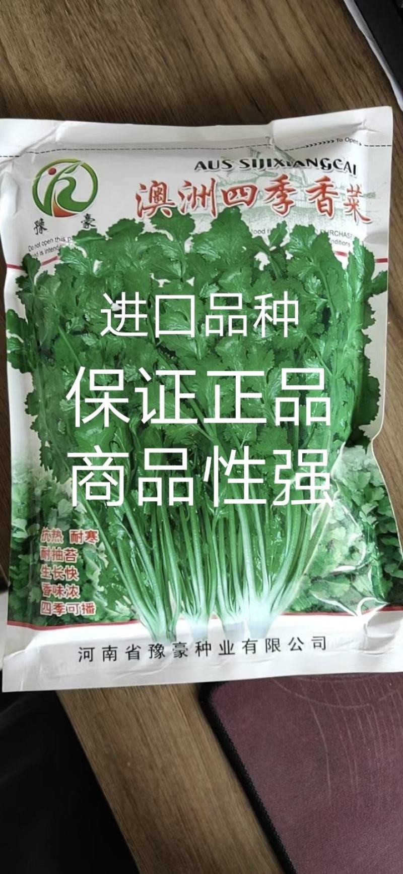 澳洲四季香菜植株直立叶色深绿纤维少口感好进口品质