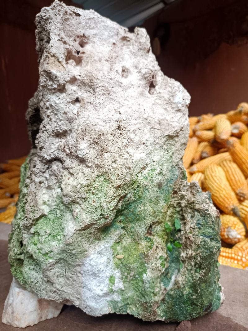 吸水石