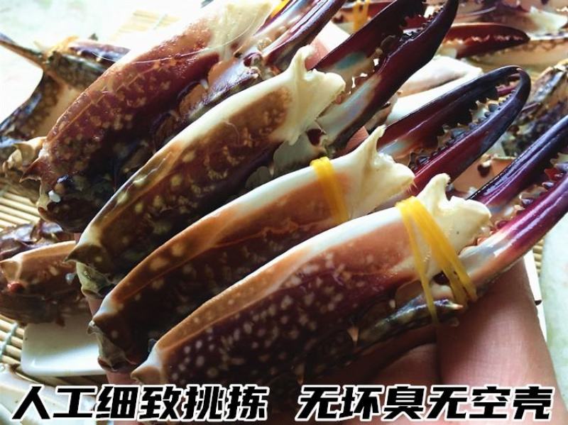 鲜冻梭子蟹蟹腿