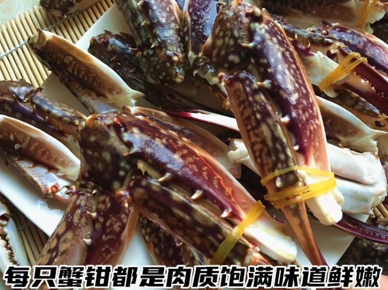 鲜冻梭子蟹蟹腿