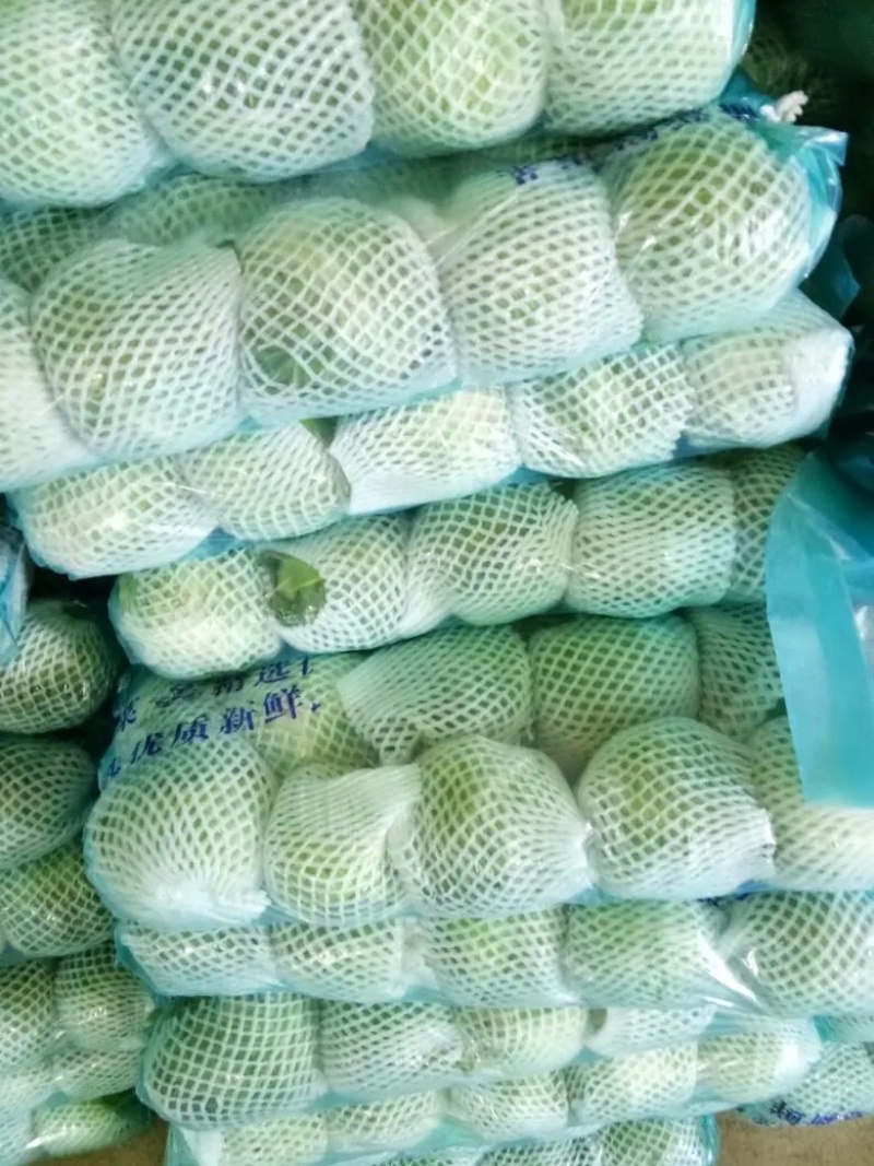 云南大理宾川甘蓝圆包菜质量好散装袋装，冷库专业代收