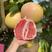 白柚红柚产地一手货源，水份充足，保质保量，大量供应！