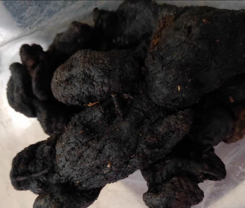 黄精(蒸)黄精个子